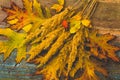 Vintage autumn leaves with patina background Royalty Free Stock Photo