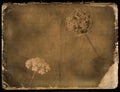 Vintage background