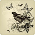 Vintage background with birds, roses and butterfli Royalty Free Stock Photo