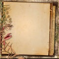 Vintage background with a border of autumn leaves