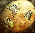 Vintage background with butterflies