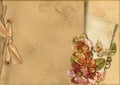 Vintage background with card&gorgeous flowers Royalty Free Stock Photo