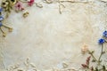 Vintage background with flowers and copy space for text or image Royalty Free Stock Photo