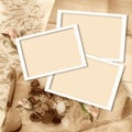 Vintage background with frames