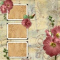 Vintage background with frames Royalty Free Stock Photo
