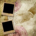 Vintage background with frames, roses, lace