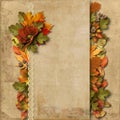 Vintage background with gorgeous border autumn decorations Royalty Free Stock Photo
