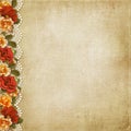 Vintage background with gorgeous flowers and lace Royalty Free Stock Photo