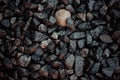 Vintage background of gravel. film grain. Texture of a wet road. One of a million. A special and outstanding object Royalty Free Stock Photo