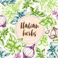 Vintage background with Italian herbs