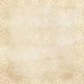 Vintage background with lacy border Royalty Free Stock Photo