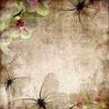 Vintage background with orchids