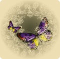 Vintage background with ornament and butterflies, hand-drawing.