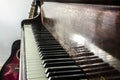 Pianoforte keyboard and a guitar.