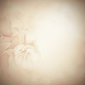 Vintage background with rose flowers Royalty Free Stock Photo