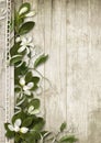 Vintage background with spring flowers on wood Royalty Free Stock Photo