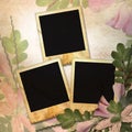 Vintage background with three frames for photo Royalty Free Stock Photo