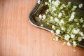 Background with white flowers, antique tray