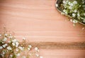 Background with white flowers, antique tray