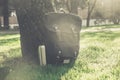 Vintage backpack with thermos stands on the grass under a tree, retro style toned