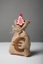 Vintage bag with money, euro sign and new year and christmas tree Royalty Free Stock Photo