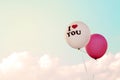 Vintage balloon - love symbol Royalty Free Stock Photo