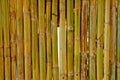 Vintage bamboo wall
