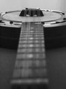 A vintage Banjo - Mandoline