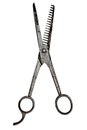 Vintage barber scissors