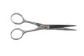 Vintage barber scissors Royalty Free Stock Photo