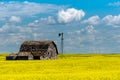 Vintage barn, bins and windmill in a swathed canola field under ominous dark skies Royalty Free Stock Photo