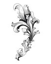 Vintage baroque frame scroll ornament engraving border floral retro pattern antique style acanthus foliage swirl decorative Royalty Free Stock Photo