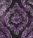 Vintage Baroque ornamented background Vector. Victorian Royal texture. Flower decorative design. Dark purple color decors
