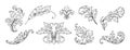 Vintage baroque ornaments. Filigree flower flourish, victorian floral swirl frame, decorative ornate. Blooming blossoms