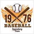 Vintage baseball label and badge Royalty Free Stock Photo