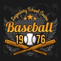 Vintage baseball label and badge Royalty Free Stock Photo