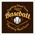 Vintage baseball label and badge Royalty Free Stock Photo
