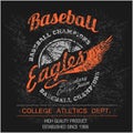 Vintage baseball logo, emblem, badge and design elements. Vector illustration