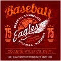 Vintage baseball logo, emblem, badge and design elements. Vector illustration