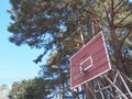 Vintage basketball backboard under pine trees