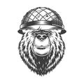 Vintage bear head in soldier helmet