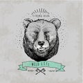 Vintage Bear logo