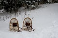 Vintage bear paw snow shoes.