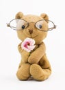 Vintage bear toy (old bear toy with pink rose)
