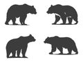 Vintage bear Vector art logo-style wildlife concept.