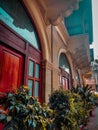 Vintage beautiful building view plants closeup and reddish finish