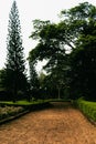 Vintage beautiful park pathway, Garden walkway.