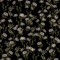 Vintage Beautiful and trendy Seamless Pattern meadow flowers, Isolated on summer black color. Botanical Floral Decoration Royalty Free Stock Photo
