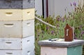 Vintage Beekeeping Equipment