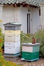 Vintage Beekeeping Garden Setting